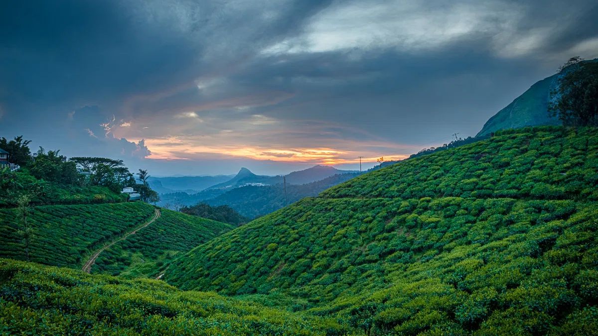 Munnar Tour Packages from Kerala