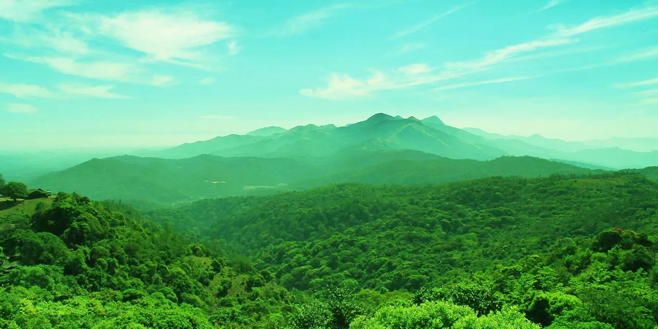 South India Tour Packages Kerala