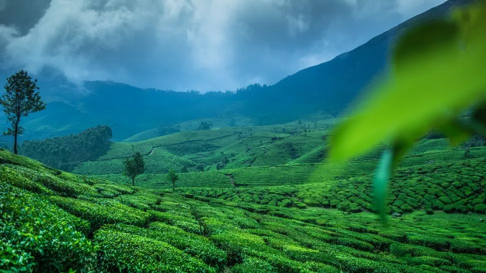 Best Munnar Tour Packages from Kerala